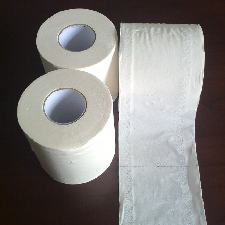 Toilet Tissue Roll - 700 sheets